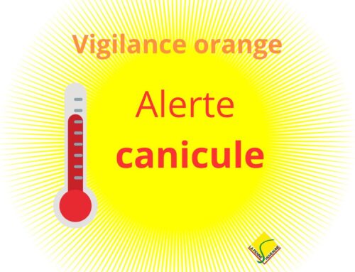PLAN CANICULE : VIGILANCE ORANGE ACTIVÉE