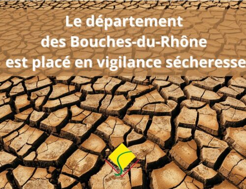 Le département des Bouches-du-Rhône est placé en vigilance sécheresse
